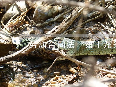 劳动合同法 第十九条 劳动合同法 第十九条